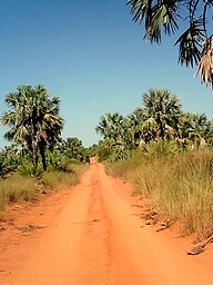 Piste Majunga (Katsepy) a Madagascar